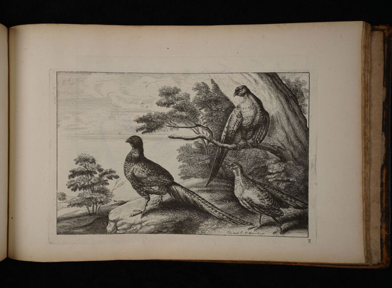 No text description is available for this image