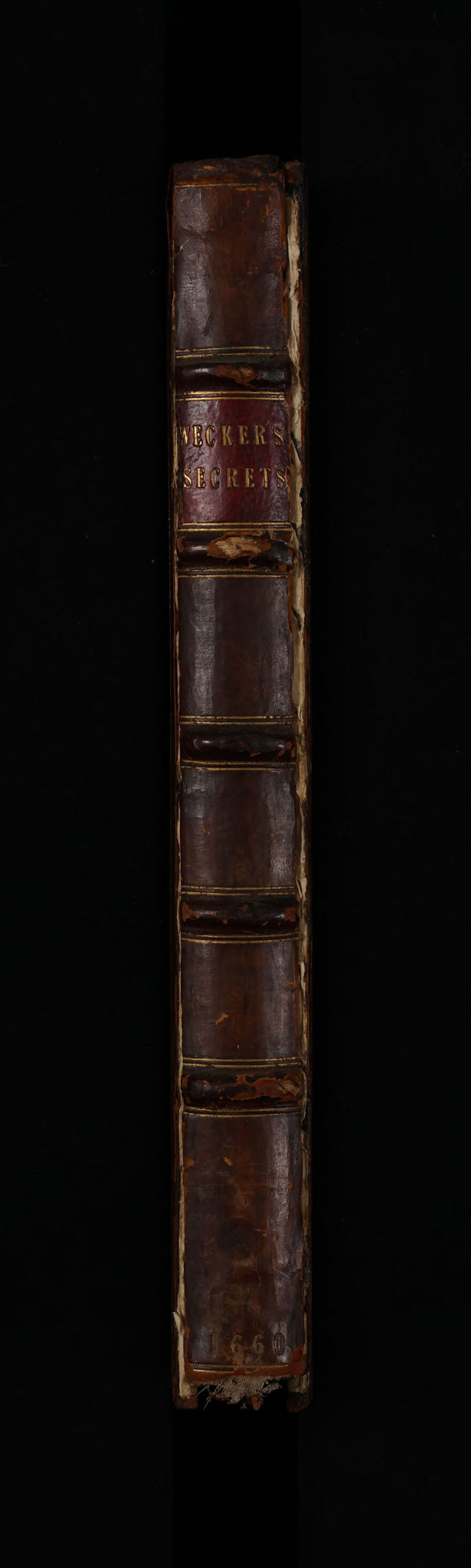 No text description is available for this image