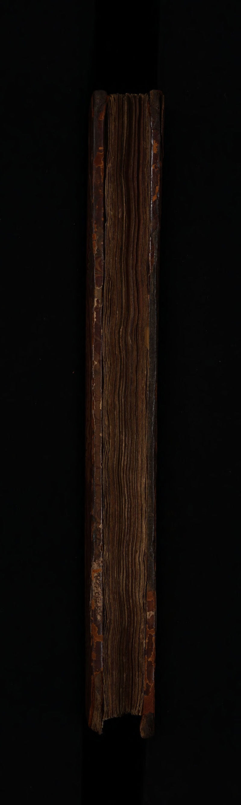 No text description is available for this image