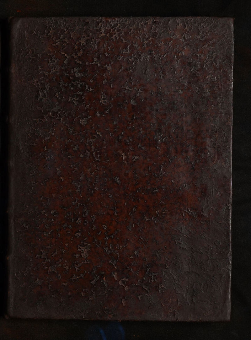 No text description is available for this image