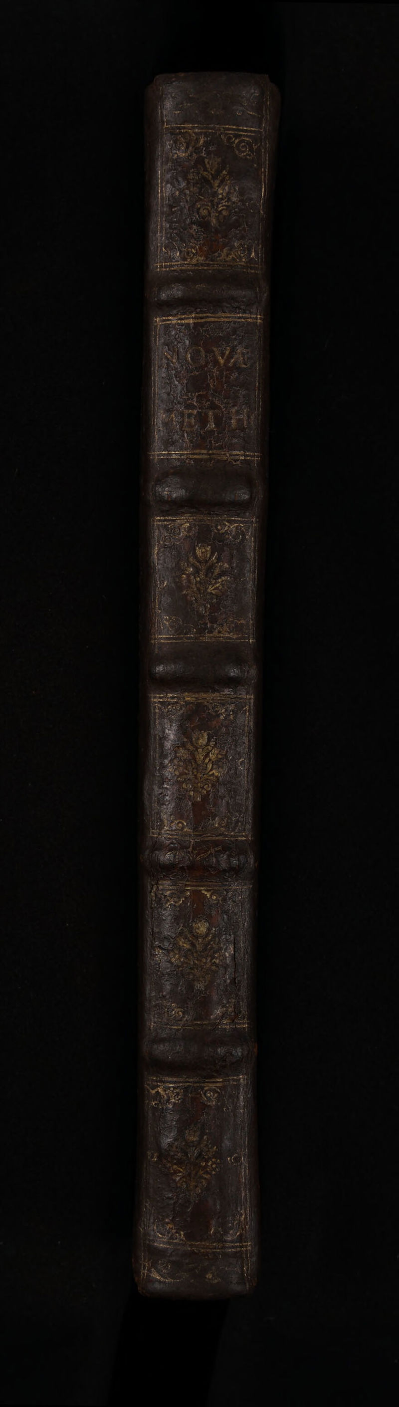 No text description is available for this image