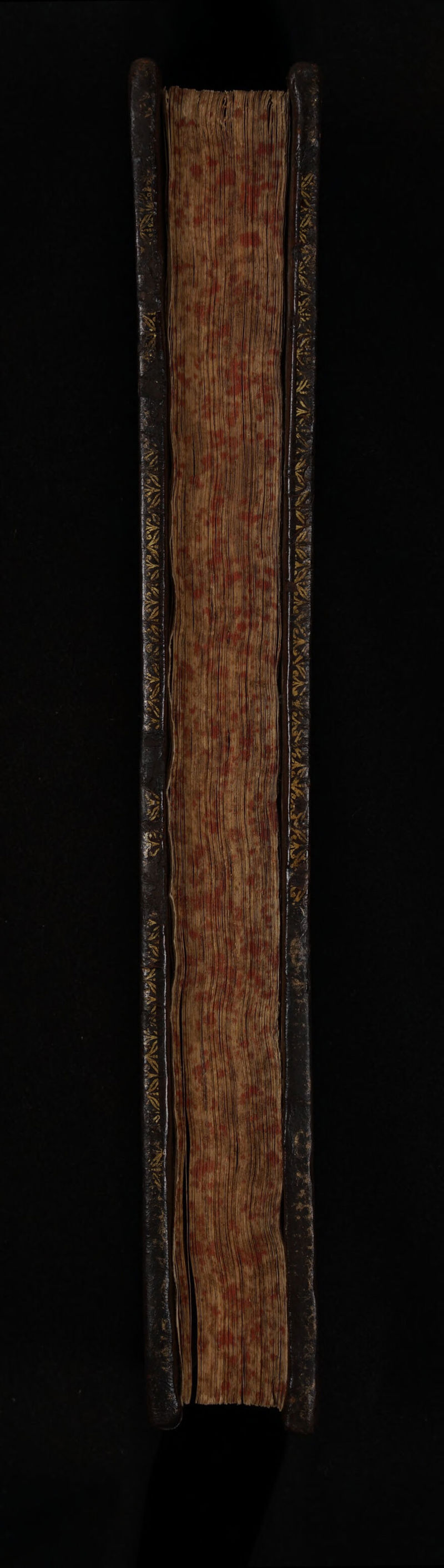 No text description is available for this image