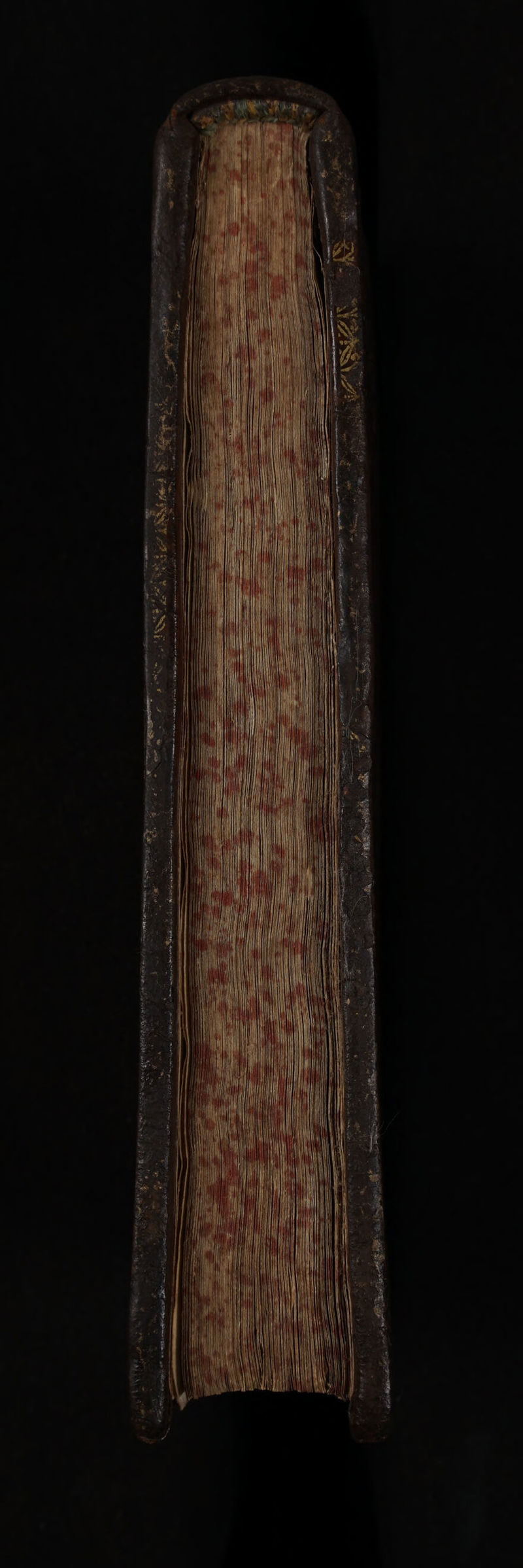 No text description is available for this image