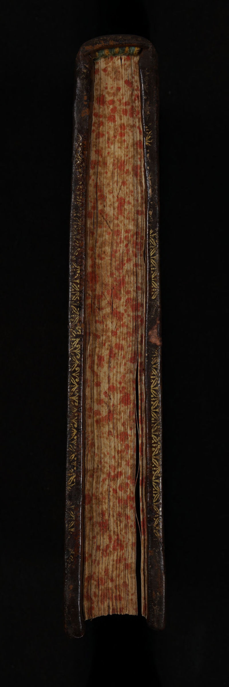 No text description is available for this image