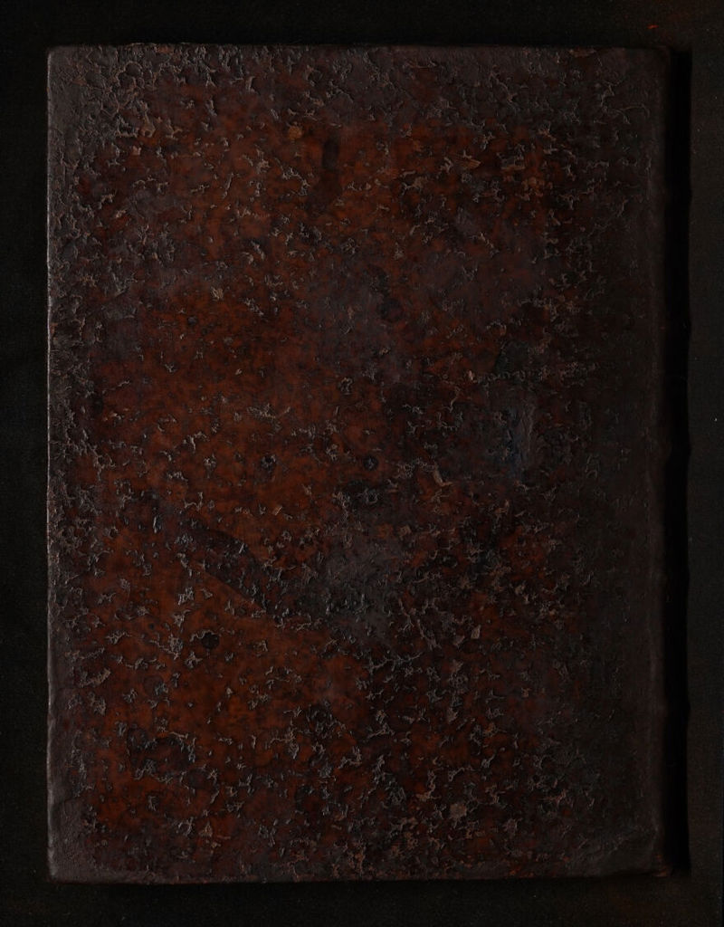 No text description is available for this image