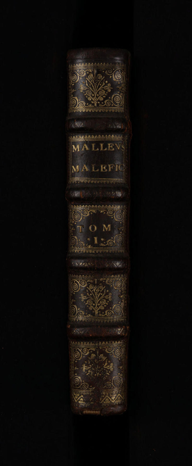 No text description is available for this image