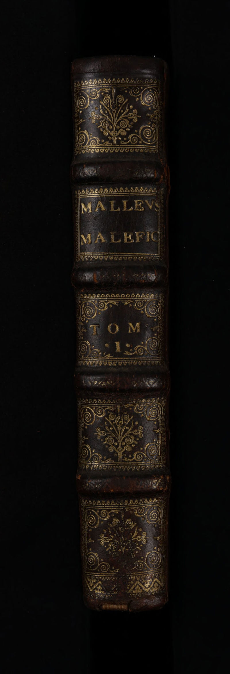 No text description is available for this image