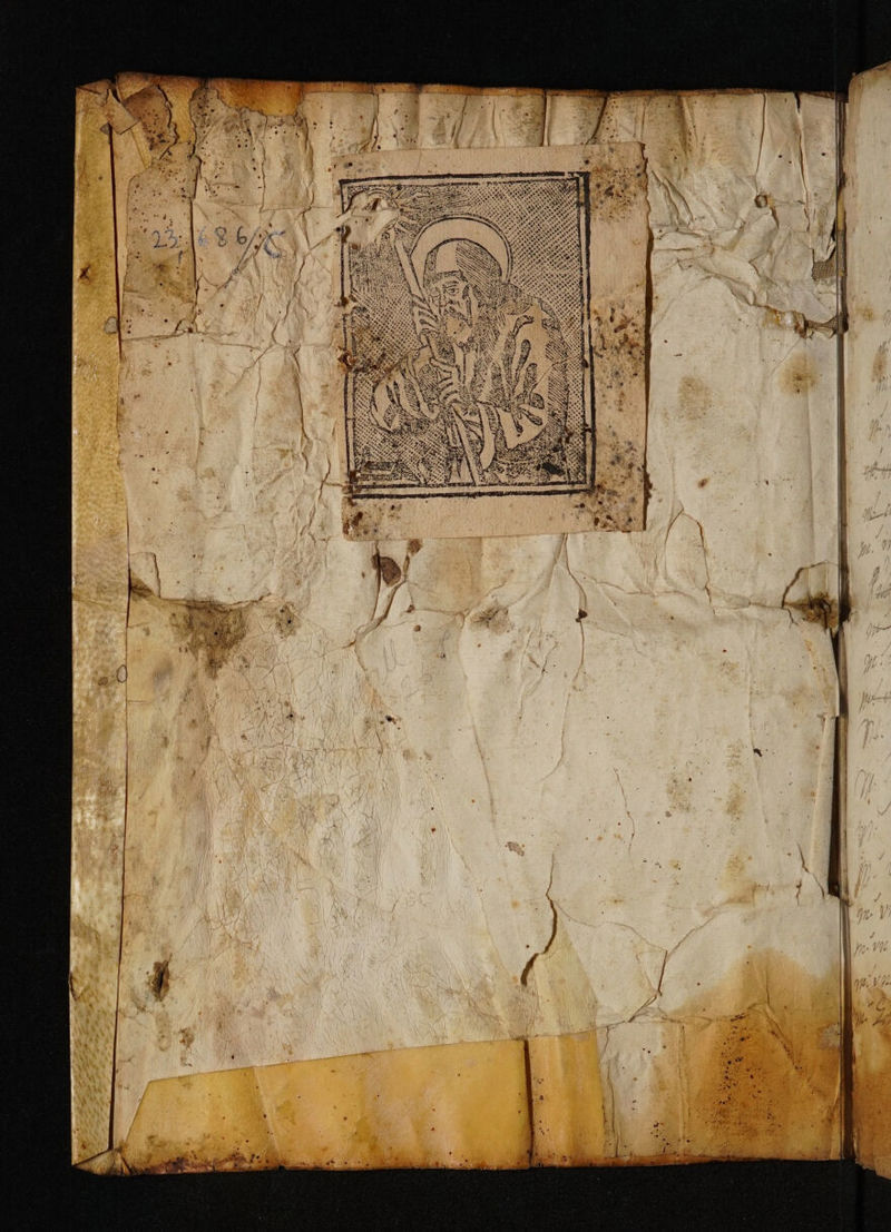 No text description is available for this image