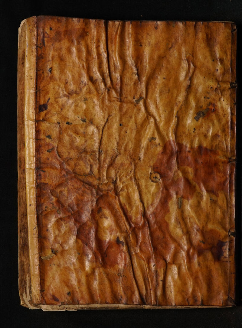 No text description is available for this image