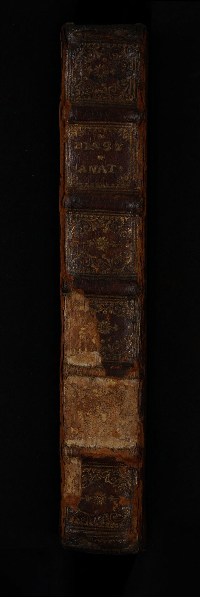 No text description is available for this image