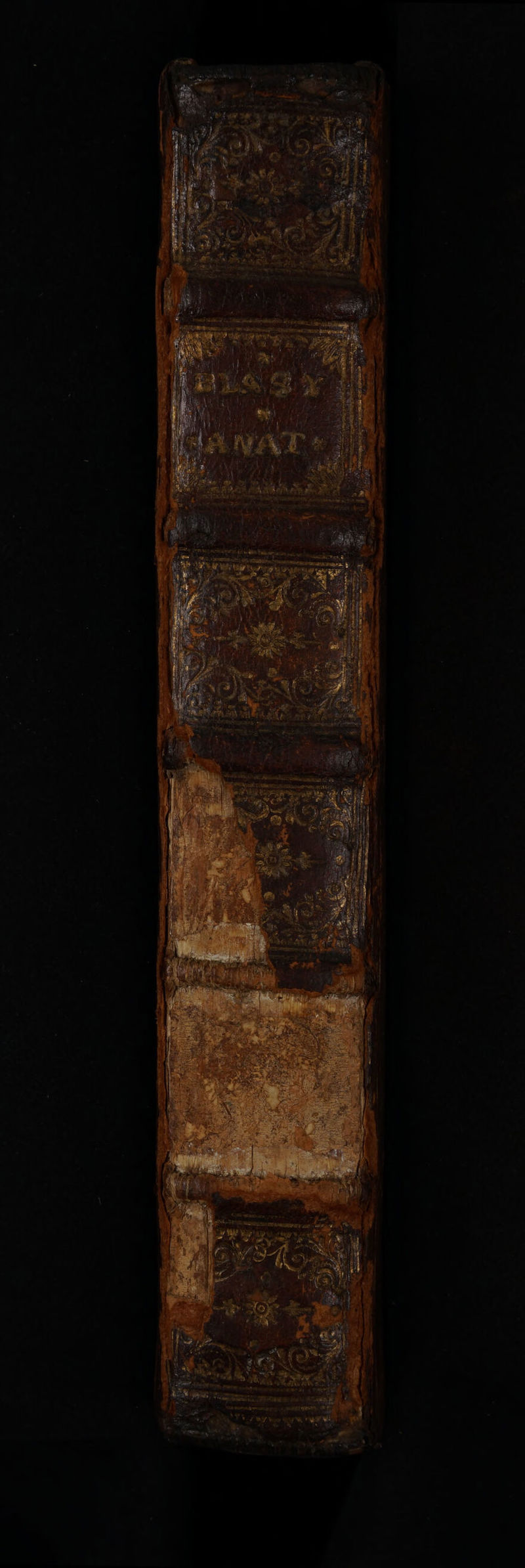 No text description is available for this image