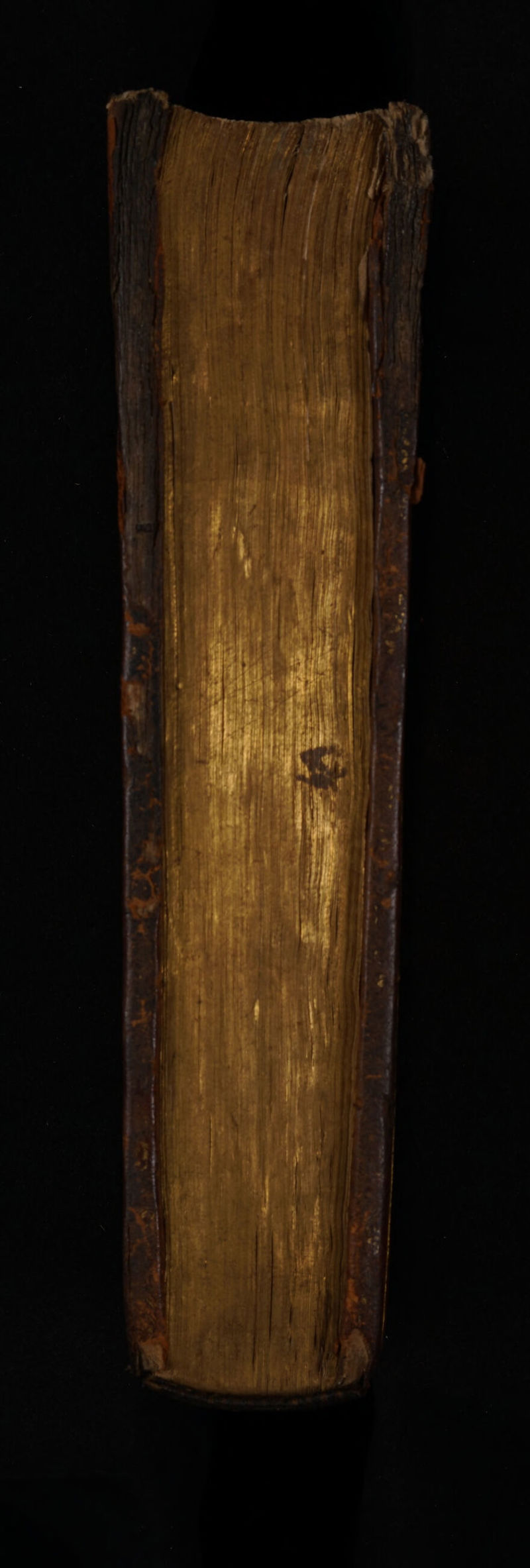 TP T CER Eme. SRESENGER. VEHIT e MA ET —— I - ——— -— i - C— —— p s —— e ep eem s. x yet cd