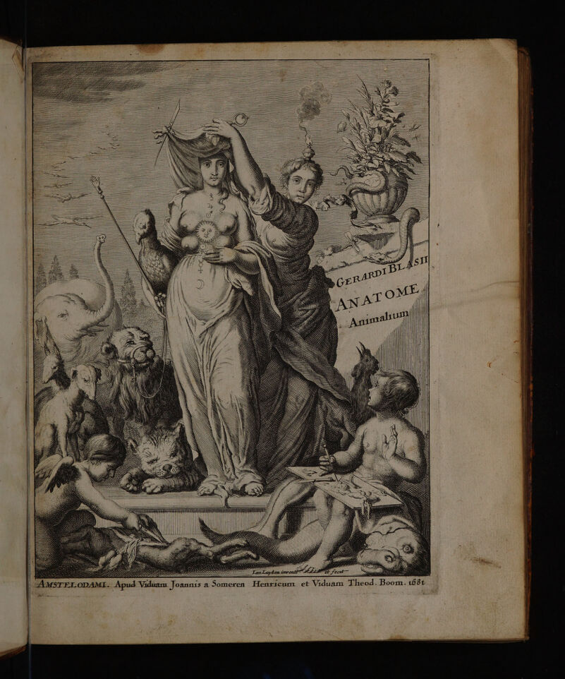 168t Boom * cum et Viduam Theod 4 nis a Someren Henr Joan Vidiam —7 ZAMSTELODAMI. Apud ge d