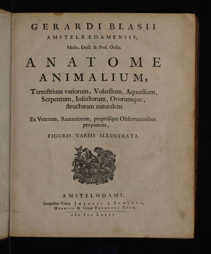 ICTTPERARDI BLASII AMSTELRJEDAMENSIS, Medic. Do&. & Prof. Ordin. EUN Ad O ME ANIMALIUM, Terreftrium variorum, Volatilium, Aquatilium, | Serpentum, Infectorum, Ovorumque, | ftru&turam naturalem Ex Veterum, Recentiorum, propriifque Obfervationibus | proponens, FIGURIS VARIIS ILLUSTRA T A. AMSTELODAMIHRK, Sumptibus Viduez | o A. x 35 à SowMER t s, HegxRiCI & Vilue Tugopon:1 Doow clo lac Lxxzzrs
