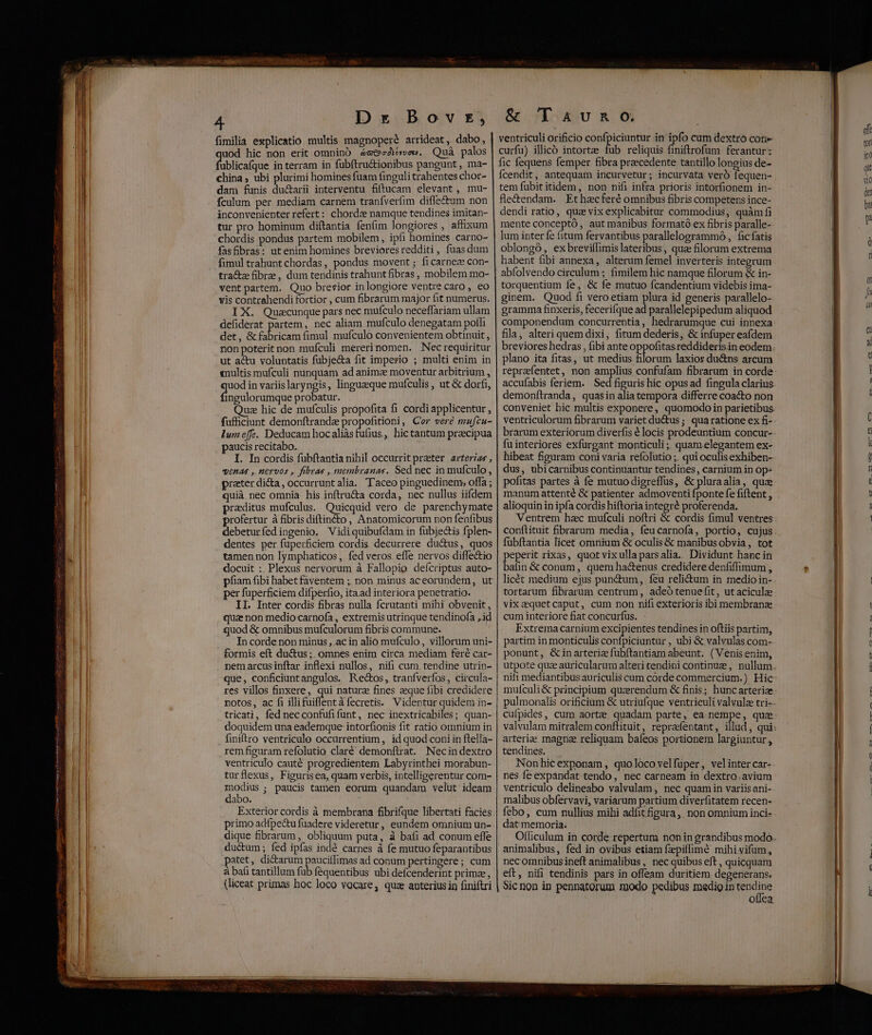 fimilia explicatio multis magnopere arrideat, dabo, uod hic non erit omninÓ 4m&»cAvvew. Quà palos eps in terram in fubítru&ionibus pangunt , ma- china, ubi plurimi homines fuam finguli trahentes chor- dam funis Tear interventu fiftucam elevant, mu- inconvenienter refert: chord: namque tendines imitan- tur pro hominum diftantia fenfim longiores , affixum chordis pondus partem mobilem, ipfi homines carno- fasfibras: utenim homines breviores redditi , fuas dum fimul trahunt chordas, pondus movent ;: fi carneze con- tra&z fibre , dum tendinis trahuntfibras, mobilem mo- vent partem. Quo brerior inlongiore ventre caro , eo vis contrahendi fortior , cum fibrarum major fit numerus. IX. Quzcunque pars nec mufculo neceflariam ullam defiderat partem, nec aliam mufculo denegatam polli det, & fabricam fimul mufculo convenientem obtinuit , non poterit non mufculi mererinomen. Necrequiritur ut actu voluntatis fubje&a fit imperio ; multi enim in anultis mufculi nunquam ad animze moventur arbitrium , uod in variislaryngis, linguaeque mufculis , ut & dorfi, f ngulorumque probatur. Quz hic de mufculis propofita fi cordi applicentur , fufficiunt demonftranda propofitioni, Cr veré mafcu- lume[f. Deducamhocaliàsfufius, hictantum praecipua paucis recitabo. I. In cordis fubftantia nihil occurrit prater arterias , qenas , nervos , fibras , membranas. Sed nec in mufculo, prater di&a, occurrunt alia. Taceo pinguedinem, offa ; quià nec omnia: his inftru&a corda, nec nullus iifdem praditus mufculus. Quicquid vero de parenchymate profertur à fibris diftin&to, Anatomicorum non feafibus debeturíedingenio. Vidiquibufdam in fubjectis fplen- dentes per fuperficiem cordis decurrere du&us, quos tamen non lymphaticos, fed veros. efle nervos diffectio docuit :. Plexus nervorum à Fallopio defcriptus auto- pfiam fibi habet faventem ; non minus aceorupdem, ut per fuperficiem difperfio, ita ad interiora penetratio. II. Inter cordis fibras nulla fcrutanti mihi obvenit, quae non medio carnofa , extremis utrinque tendinofa id quod & omnibus mufculorum fibris commune. In corde non minus , ac in alio mufculo, villorum uni- formis eft ductus; omnes enim circa mediam feré car- nemarcusinftar inflexi nullos, nifi cum tendine utrin- que, conficiuntangulos. Rectos, tranfverfos, circula- res villos finxere, qui naturz fines aeque fibi credidere notos, ac fi illifuiflentàfecretis. Videntur quidem in- tricati, fed necconfufifunt, nec inextricabiles; quan- doquidem una eademque intorfionis fit ratio omnium in finiftro ventriculo occurrentium, id quod coni in ftella- rem figuram refolutio claré demonftrat. Necindextro ventriculo cauté progredientem Labyrinthei morabun- turflexus, Figurisea, quam verbis, intelligerentur com- Eon ; paucis tamen eorum quandam velut ideam abo. primo adfpectu fuadere videretur, eundem omnium un- dique fibrarum, obliquum puta, à bafi ad conum effe ductum ; fed ipfas ind& carnes à fe mutuo feparantibus patet, dictarum pauciíimas ad conum pertingere; cum à bafi tantillum fub fequentibus ubi defcenderint primae, (liceat primas hoc loco vocare, qua anterius in finiftri & T aivno. ventriculi orificio confpiciuntur in ipfo cum dextro con- curfu) illicó intortze fub reliquis finiftrofum ferantur: fic fequens femper fibra praecedente tantillo longius de- Ícendit, antequam incurvetur; incurvata veró fequen- tem fubititidem, non nifi infra prioris intorfionem in- fle&endam. Ethzcferé omnibus fibris competens ince- dendi ratio, qua vixexplicabitur commodius, quàm fi mente conceptó , aut manibus formató ex fibris paralle- lum interfe fitum fervantibus parallelogrammó , fic fatis oblongó, ex breviflimis lateribus, qua filorum extrema habent fibi annexa, alterum femel inverteris integrum abfolvendo circulum ; fimilem hic namque filorum & in- torquentium fe, & fe mutuo fcandentium videbis ima- ginem. Quod fi vero etiam pus id generis parallelo- gramma £inxeris, fecerifque ad parallelepipedum aliquod componendum concurrentia, hedrarumque cui innexa fila, alteri quem dixi, fitum dederis, & infuper eafdem breviores hedras , fibi ante op ofitas reddiderisin eodem. plano ita fitas, ut medius filorum laxior du&ns arcum accufabis feriem. Sed figuris hic opus ad fingula clarius. demonftranda, quasin alia tempora differre coacto non conveniet hic multis exponere, quomodo in parietibus. ventriculorum fibrarum variet du&us; quaratione ex fi-- brarum exteriorum diverfis é locis prodeuntium concur-- fu interiores exfurgant monticuli; quam.elegantem ex- hibeat figuram coni varia refolutio ;. qui oculis exhiben- dus, ubicarnibus continuantur tendines, carnium in op: pofitas partes à fe mutuo digreffüs, & pluraalia, qua manum attenté & patienter admoventi fponte fe fiftent , alioquin in ipfa cordis hiftoria integré proferenda. Ventrem hac mufculi noftri & cordis fimul ventres conftituit fibrarum media, feucarnofa, portio, cujus fubftantia licet omnium & oculis & manibus obvia, tot EARS rixas, quotvixullaparsalia.. Dividunt hanc in alin & conum , quem ha&enus credidere denfiffimum , licét medium ejus punctum, feu relictum in medio in- tortarum fibrarum centrum, adeótenuefit, ut acicula vixaquetcaput, cum non nifi exterioris ibi membrana cum interiore fiat concurfus. Extrema carnium excipientes tendines in oftiis partim, partim in monticulis pubis , ubi & valvulas com- ponunt, &inarteriz fuübítantiam abeunt. (Venis enim, utpote quz auricularum alteri tendini continue , nullum. nifi mediantibus auriculis cam corde commercium.) Hic mulculi& principium quaerendum & finis; hunc arteriae pulmonalis orif&cium & utriufque ventriculi valvula tri-- cufpides, cum aortz quadam parte, ea nempe, qua- valvulàm mitralem conftituit, repraefentant , illud , qui: arterie magna reliquam bafeos portionem largiuntur , tendines. Non hic exponam , quoloco velfuper, velinter car- nes fe expandat-tendo, nec carneam in dextro.avium ventriculo delineabo valvulam, nec quamin variisani- malibus obfervavi, variarum partium diverfitatem recen- febo, cum nullius mihi adfit fgura, . non omnium inci- - datmemoria: Officulum in corde repertum non in grandibus modo. animalibus, fed in ovibus etiam fzpifimé mihivifum, nec omnibusineft animalibus, nec quibus eft , quicquam eft, nifi tendinis pars in offeam duritiem. degenerans. Sic non in pennatorum modo pedibus medio in gia otüea.