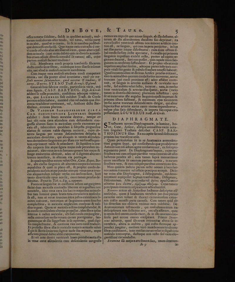 mq DtE DbovtE, offeanotatur foliditas , fed &amp; in quolibet animali , mul- torum mufculorum altertendo, vel totus, velfui parte inosabit, quod utincranio, fic &amp; in manibus pedibuf- que demonftratufacilé. Quae itaque ratio extracto € cer- vicorde officulo alias attribuendi vires , quam alteri ejuf- demanimalis (non enim dubito quin in diverfis animali- bus etiam offium diverfa nonnihil fit natura) offi, cujus partem mufculi faciunt tendines ? ILI. Membrana cordi propria tranfverfo fibrarum du&amp;u cordis fecat fibras, eodemque inter illas fe ipinuat ritu, nec aliud in mufculi occurrit membrana. Cum itaque vera mufculiattributa cordi competant omnia ; nec illa praeter aliud inveniatur ; veré* cor mu- Jculi nomine falutandum , quod meretur &amp;9 tendine , carue , nervo. S'T E NO Ira&amp;. de mufc. Q9 gland. Generali huic fabricze cordis , particularia varia , unà cum figuris, CASP. BAR THOL. Difp. de Corde addere fe velle promittit, confultum adeoque videtur , ea, que Louwznus fufe exhibet Tra&amp;. de Corde pro noneditishabere, maximé cüm vel eadem qua 57e- tonius tradideratcontineant, vel, Authore dicto Bar- tholino, erronea plurima. De VasognuM SaNcGuüuiFERORUM CIRCA Cong cowsrirTUuTIONE Louwznmus fequentia exhibet : Ante limen auricule dextra , nempe eo loci ubi vena cava afcendens cum defcendente con- grefía alveum fuum in auriculam cordis exonerare pa- rata eft, tuberculum. quoddam à fubje&amp;a pinguedine elatum &amp; notatu valde dignum occurrit, cujus ob- tentu fanguis per venam defcendentem delapíus in auriculam divertitur, qui alioquin in venam afcenden- tem decumbens fanguinem per iftam cor verfus affuürgen- tem reprimeret valde &amp; retardaret: Et fiquidem in ere- &amp;o corporis fitu atque figura majus inde periculum im- mineret, ideo vena cavain humano genere hoc majus &amp; longe eminentius obtinuit, adeo ut fi digitum alterutri trunco immiferis, in alteram vix pertingas. Inquadrupedibus autem veluti Ove , Cane ; Equo, Bo- ve, ubi curfus fanguinis ab alterutro corporisextremo zquabilior &amp; quafi in plano eft, &amp; propter cordis de- pendentis molem atque pondus uterque venz cavae trun- cus aliquantulum infuper verfus cor declivesfunt, licet tanto diverticulo opus nonfit, omnitamen prorfus de- flituitur. Proutin Tab. x. Fig. z. apparet. Porro ne fanguishic in confluvio zeítum autgurgitem faciat dum auricula contracta liberum ei ingreffum non concedit, ideo vena cava hicloci in majoribus animali- bus tam homine quam brutis tota circumcirca mufculo- fa eft, tum ut venz truncum intra juftos extenfionis li- mites coérceat, tum etiam ut fanguinem quem finu fuo comple&amp;itur, in auricula» amplexum continuo &amp; vali- diusurgeat. Quem ut auriculaarctius comprehendat, &amp; in cordis ventriculum ulterius propellat , ideo fibra ipfius interna à radice auriculae, ubi bafi cordis conjungitur , re&amp;a extrorfum verfus venam cavam porriguntur , fan- guinemque ab illa fuggeftum iníerapientes, quafidigi- tis complectuntur, &amp; continua vice mox cordi tradunt : Et profe&amp;o fibrz iftz in auriculis majoris animalis veluti Equi &amp; Bovisfimiarurm digitos mole-fua zequant, atque acd procul dubio idem exequuntur: Etuti ante dextri ventriculi limen protuberantia ifta án veng cava afcendentis cum. defcendentis congreflu &amp; T &amp;URkob. 5 memorata impedit quo minus fanguis, ab illa defluens; al- terum ab illa afcendentem decubitu fuo deprimat; ita extra finiftri ventriculi oftium: non minore artificio cau- tum eft, nefanguis, quicum impetu projicitur, in has aut illas partes inique diftribuatur: cum enim oftium il- lud cordis furfum recte aperiatur, fi canalis qui primum fanguinis impulfum excidit re&amp;a, paviter ad capitisre- gionem duceret, fieri non poffet , quin rapide nimis fan- guinem in cerebrum fuffunderet :. Et propter vibrationis impetum ampliari fenfim , adeoque partes inferioris cor- poris vitali fuo genio &amp; pabulo fraudare neceffe haberet; Quod incommodum ut divinus Artifex prorfus evitaret , ideo in animalibus quorum cordafortius moventur, aorta truncum (qui cordi proximus eft) adeo affabre conte- xuit, ut fanguis in arterias axillares &amp; cervicales non re&amp;e, fedambitu velut fa&amp;o, incurrat; nam, in medio inter ventriculum &amp; arteriasiftas fpatio, aortze (vario. tamen in diverfis difcrimine) plurimum ipfle&amp;itur: quo. primum icum fuftineat, &amp; maximum ejus torrentem verfus aorta truncum defcendentem dirigat, quialiter fuperioribus arteriz aortze ramis nimius impenderetur ; eafque plus fatis diftenderet, &amp; impetu fuo caput cito: Eeeduen LOUWERUS :ratl. de Corde. DIAPHRAGMA T E. S Tru&amp;turam uovam Diaphragmatis, in homine, bo- ve, Cane, Anfere, aliifque animalibusvariis nota tum fingulari. Tractatu defcribt CASP. BAR- THOLINUS flius Exeocapite fecundi fe&amp;ionem: Quam periculofum fit in re: Anatomica anteceden- tium gregem fequi, qui copfcribendo quz prodiderunt: Autores non nifi actum agere confueverunt , ex fufcepto» argumento patet. De Diaphragmateloquor, cujusnec: ftru&amp;ura nec cum reliquis partibus vera connexio ab ullo- hactenus prodita eft ; cum tamen fuprà monuerimus quam neceffaria fit omnium partium notitia , inearum- ftra&amp;ura vera, &amp; cum reliquis partibus connexione fita.. Meo quidem judicio parum recté nomen à loco fuo: nonautem à munere vel officio precipuo accepit. Dici- tur enim aliis Diaphragma , à diftinguendo, cui deno- minationi zequipollet Septum tranfverfum , Diffeptum; Diícretoriam. Aliis praecordia vel $eés&amp; apud Graecos: ufitatius £ar; dicitur, 2]&amp;Zeus ee ox». Cujustamen: preecipuum munusin refpirationis actu elucefcit. Numero unicus ab Autoribus ha&amp;enus defcriptus ef muículus, quem à lumborum vertebris per duas partes: carnofas oriri. volünt &amp; thoraci circumtenfum extre- his diverfum nos obferva verimus mox videbitur. De Anatomicorum teftimoniis , qui mufculumunicum ita: defcripferunt non follicitus.ero, necullaafferam, quia: inunum feré omnes confeptiunt, &amp; in illo upanimi con- fenfu pari errore omnes confpirant. Primus .Srezo-- nius. advertit, quod Bbrarum extremitas altera fit in^ wertebris, altera in ambitu , quà coftis.fternique ap-- pendici jungitur, mediam veró membranam tendinum: fibre conítituunt, inter medias carnes velut in digaftrico» mufculo interceptze, ductuque non recto fed vario ele— gantiflimé circumductze. Foramina ili majoraattribuunt duo, unum dextrum: A 3: py