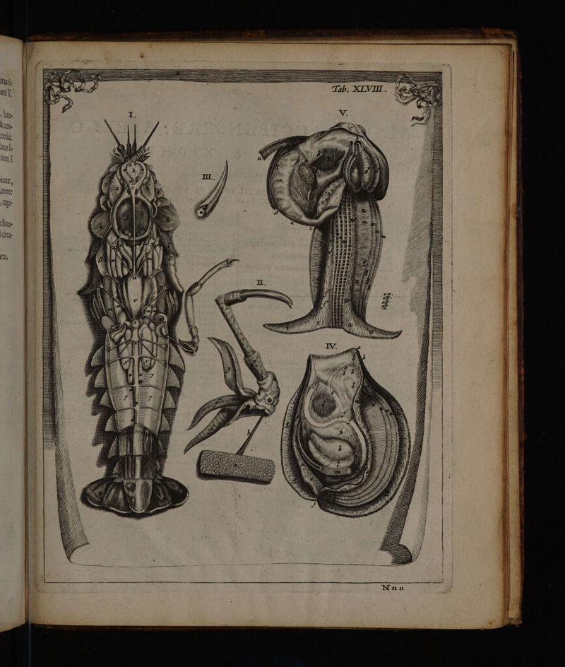 i0 oni V. latee Xt Ond, itis tioni] itng, Ilore Ie Dite («s (I5, NN N WN N A ZW, Hiver NN N NN PL SEENSENDENEN S JUS SEESESSSRSSESISESENIS AL S MU SS