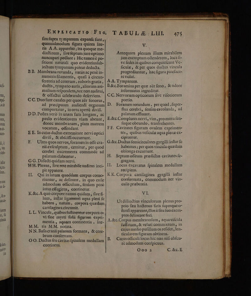 inflar Stn. m, 0101 os di* ke 15 Qe jorem y, Ik ebrum fim fupra tympanum expanfa funt , quemadmodum figura quinta lite- ris À A. apparebit; ita quoque me- diaftinum, fivefeptum jute optimo nuncupati poffunt ; Hic tamen é po- fitione naturali quo evidentiusfub- je&amp;tum tympanum pateat deducta. B b. Membranarotunda, variis ac pené in- numeris filamentis, quafi à circun- ferentia ad centrum , roboris gratia , du&amp;is , tympano auris , aliorum ani- malium refpondens,nec nonauditui, &amp; olfa&amp;ui celebrando deferviens. ad praecipuum audiendi organum comportatur , inortuaperté divifi. D D. Poftea veró in unam fatis longam , ac paulo evidentiorem viam abeunt, donec membranam , piam matrem vocatam, offendant. E E. In cujus du&amp;us extremitate nervi optici divifi, &amp;abíciffi occurrunt. F. Ultra quosnervos, foramenin offe cra- nii exículptum , cernitur, per quod cerebri excrementa commodé ad palatum elabuntur , G G. Diffe&amp;i quidam nervi. HH. Plexus, five rete mirabile auditus inci- pit apparere. II. Qui inlatum quoddam corpus como- riuntur, ac definunt, in quo exile admodum oflficulum , fenfum pené intus efugiens, continetur. K.&amp;c.A quo corpore ramus quidam, five fi- lum, inítar ligamenti aqua pleni fc habens , natum, corpora quadam cartilaginea circumit. vifine myrti folii figuram expri- mentia, aquam continentia , lite- M M. ris M M. notata. brum confervans. O O. Ductus feu cavitas fpinalem medullam continens. V. Antequam plexum illum mirabilem jam exemptum oftenderem , loca (i- ve fedes in quibus conquieícunt Vc- ficulz, &amp; per quos du&amp;us vincula progrediuntur, hacfigura pateface- re volui. À A. Tympanum. D.&amp;c.Foramina per quz aér fono, &amp; odore informatus ingreditur. CC. Nervorum opticorum five vifloriorum portio. D. Foramenrotundum, perquod , fuper- flua cerebri, fenfim excolanda, ad palatum effluunt. E.&amp;c.Complures nervi, vim, pro motu fen- fuque obeundo, tranfvehentes. FF. Cavitates figuram ovalem exprimen- tes, quibus veficulz aqua plena ex- cipiuntur. G.&amp;c.Du&amp;us femicirculares gyrgilli inftar fc habentes ; per quos vincula quedam oblonga excurrunt. H. Septumofleum pradi&amp;as cavitates fe- gregans. II. Locus excavatus fpinalem medullan recipiens. KK. Corpora cartilaginea gyrgilli in(tar conformata, commodum iter vin- culis prebentia. VE Ut ditin&amp;ius vinculorum plexus pro- prio fitu ha&amp;enus fatis fuperque o- ftenfiappareantillos € fitu fno exem- ptos delineare feci. A.&amp;c.Corpus membranofum , aqua vifcida fuffatum, &amp; veluti commixtum, in cujus medio pufillum os refidet , len- ticularem figuram obtinens. B. Cujusofficuli locus hic non nifi obfcu- ré admodum confpicuus. Ooo 2 C.&amp;c.E