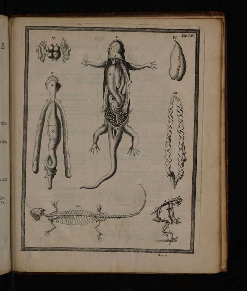 i MA ) II NN LM A c e ! (A 7,7 i779