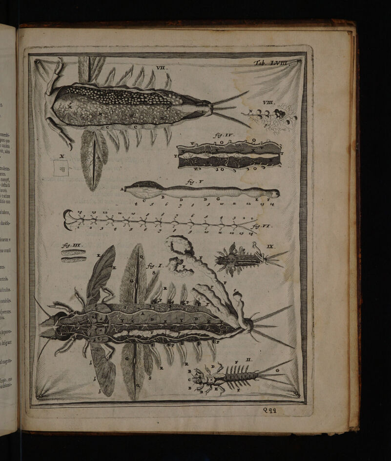 ünebje DOO quo t Cu dein tit; deg tendentes nts, exemptd, ducali Qvi | trahere filio non labens, aistble- IDnarum v pas Ovarii Yeh vticult iftrodtus notabiles [purentet Yrs (is prote defgnant Jimagrit (opio , quo a delin hi Ju ho Te n Der Lg ul