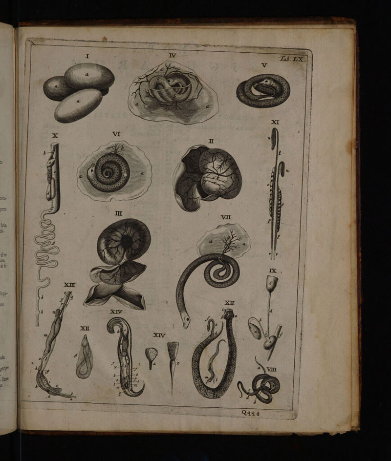 [0 tüj« purto fatim lis Cx n f passi, iM N ; ii. Hu indi, hiiüuiupii, Du.