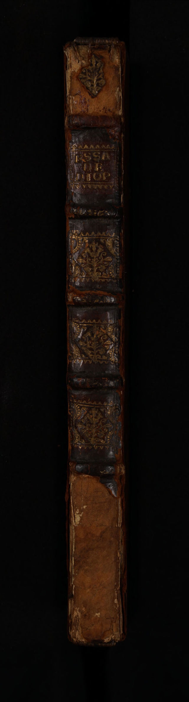 No text description is available for this image