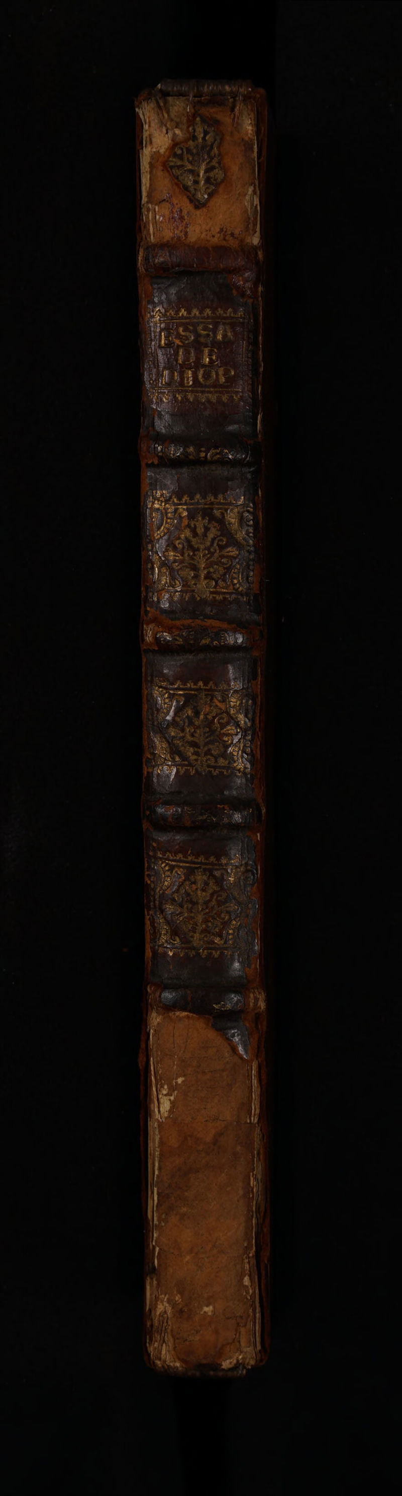 No text description is available for this image