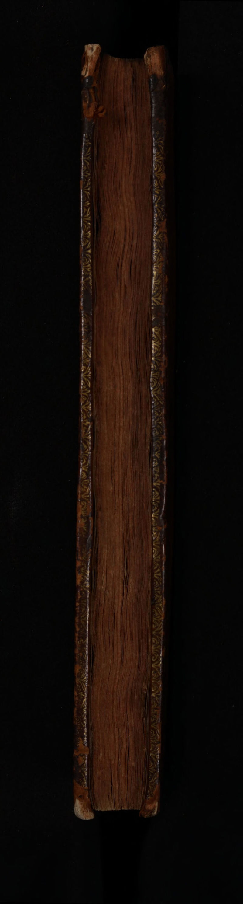 No text description is available for this image