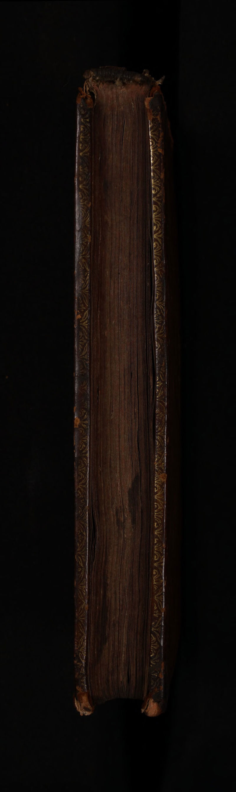 No text description is available for this image