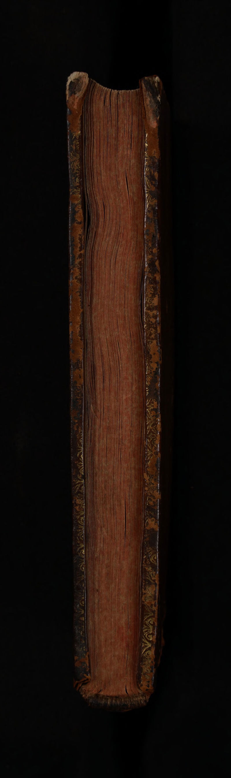 No text description is available for this image