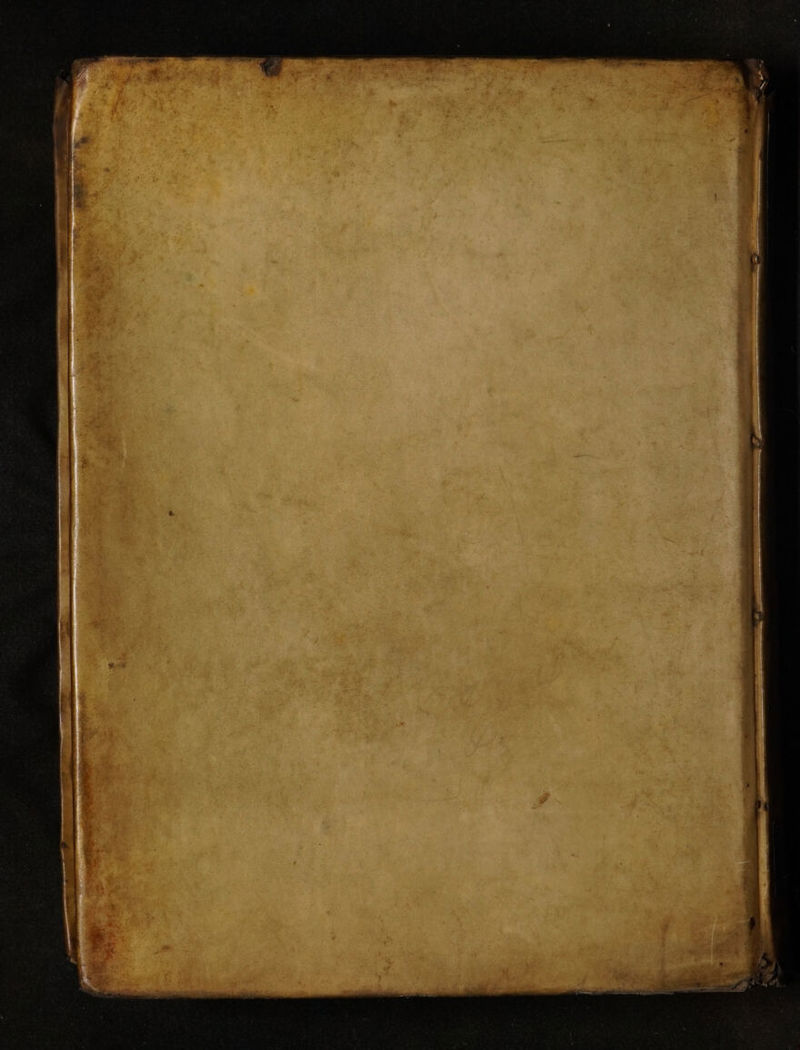 No text description is available for this image