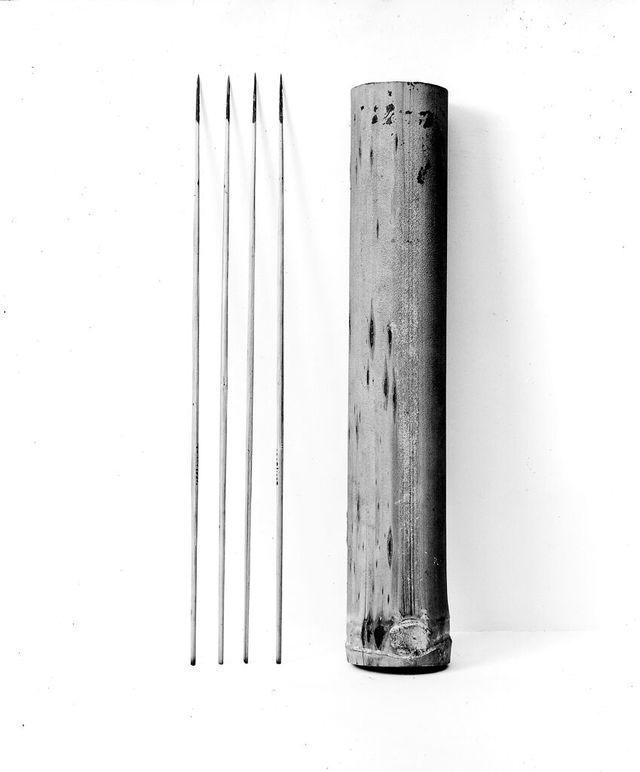 No text description is available for this image