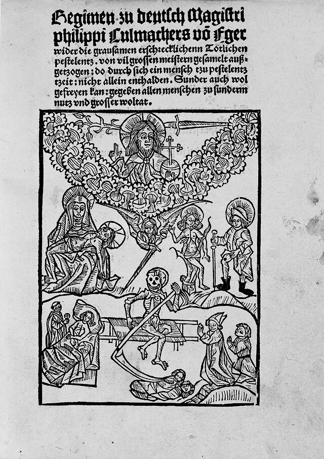 No text description is available for this image