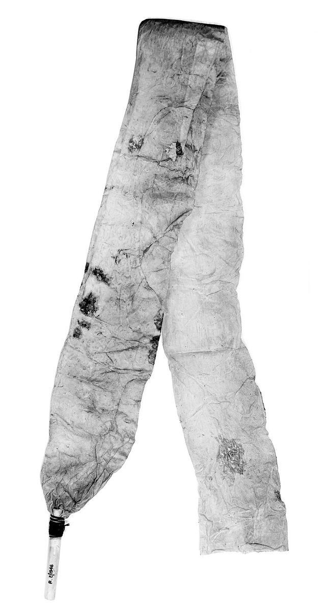 No text description is available for this image