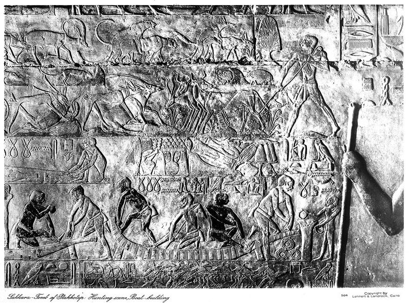 No text description is available for this image