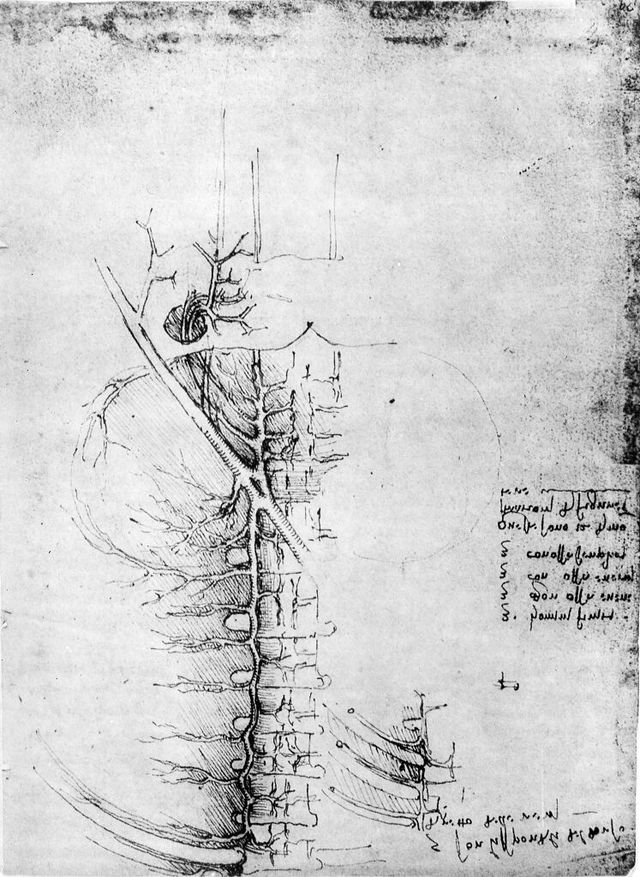 digitised image 1