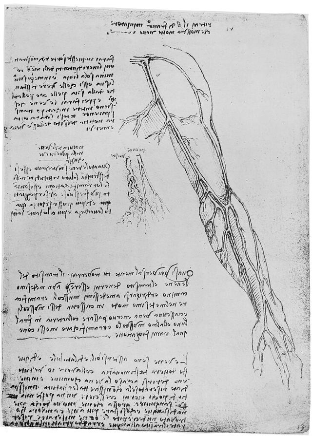 digitised image 1