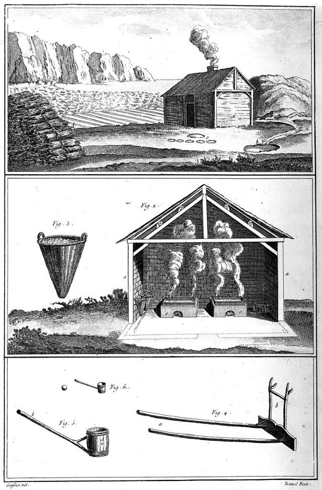 digitised image 1