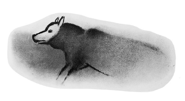 No text description is available for this image