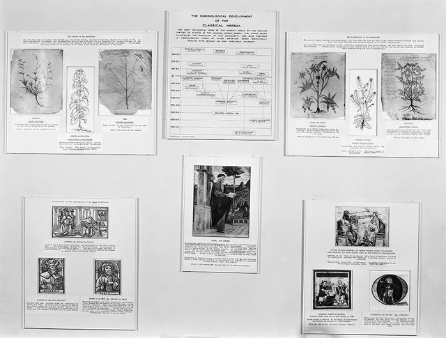 digitised image 1