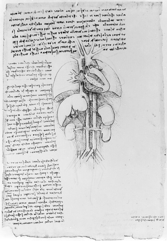 digitised image 1