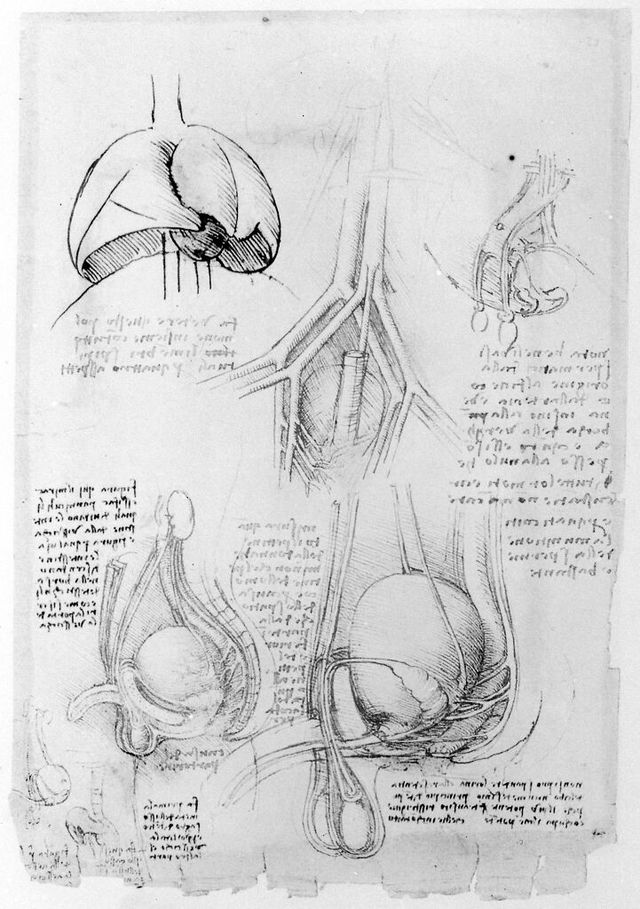 digitised image 1