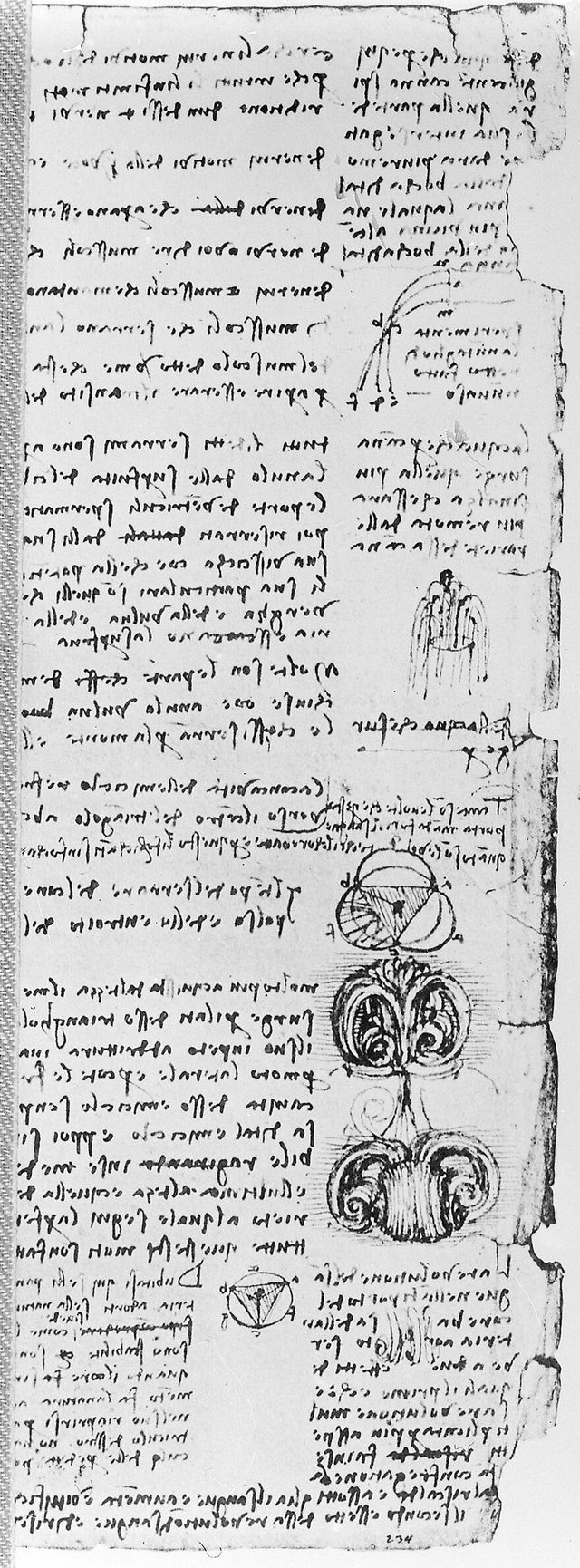 No text description is available for this image