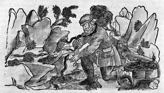 No text description is available for this image