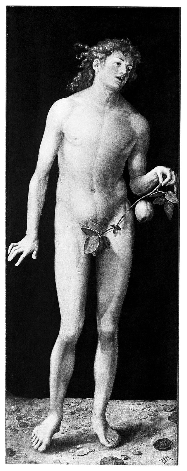 No text description is available for this image