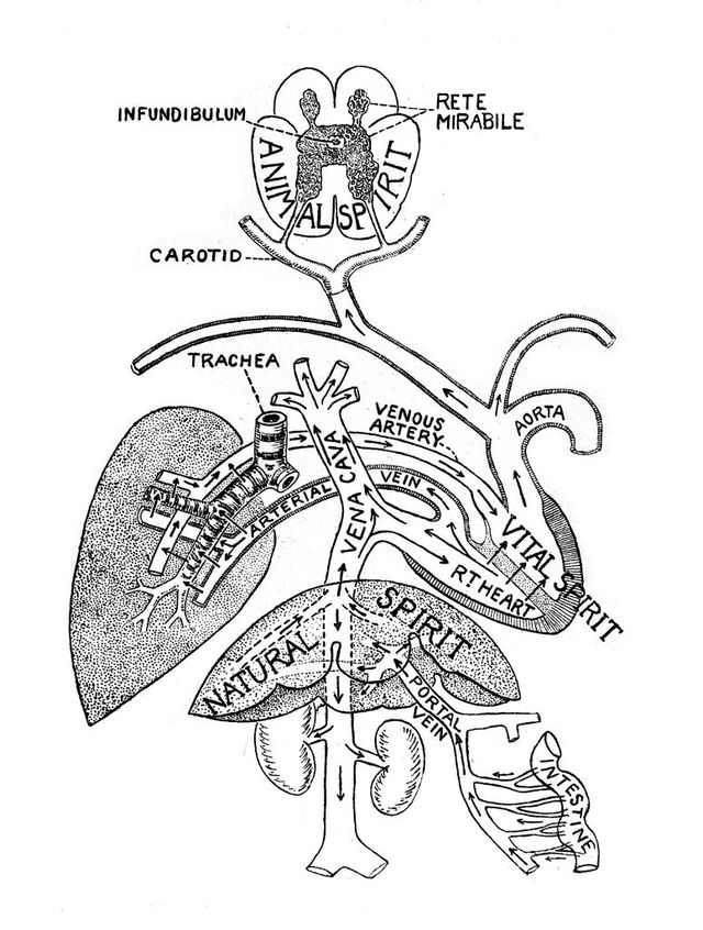 digitised image 1