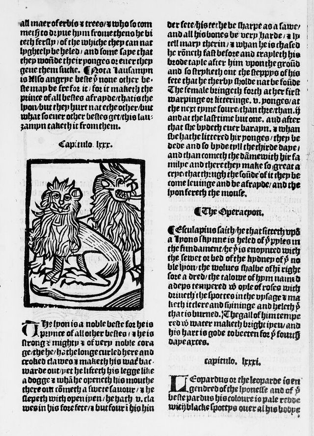 digitised image 1