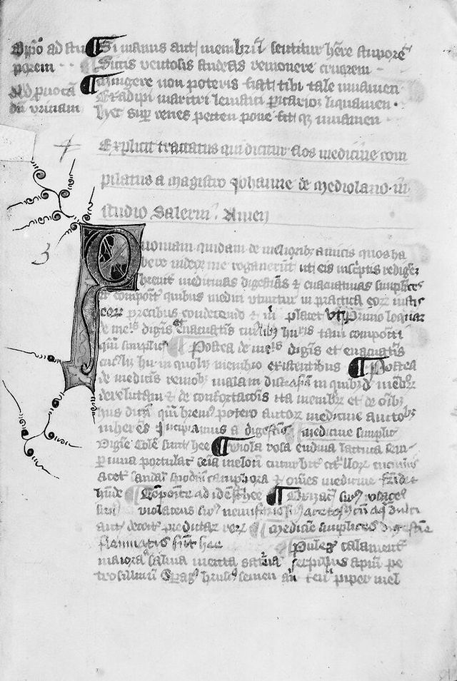 digitised image 1