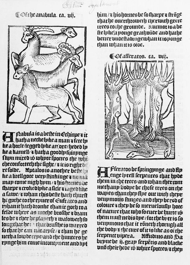 digitised image 1