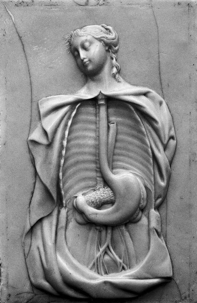 digitised image 1